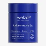 Welzo Akkermansia 60 Billion AFU Ultra Purity
