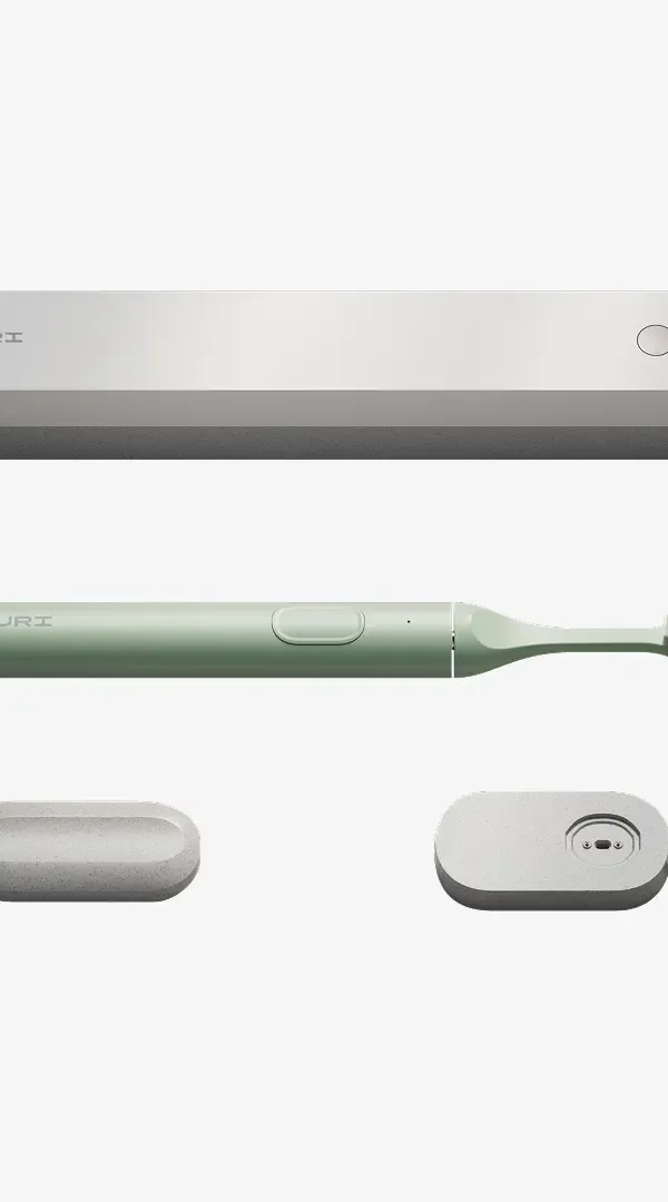 SURI Sonic Electric Toothbrush + UV Cleaning Case — Winter Fern