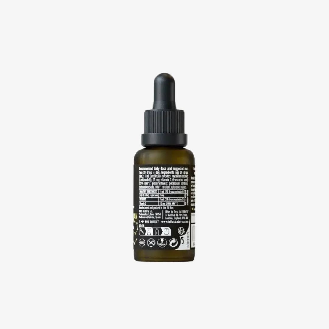 Hifas Da Terra HIFAS-Lentinan (30ml), image 2