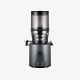 Hurom H330P Self-Feeding Juicer, Charcoal