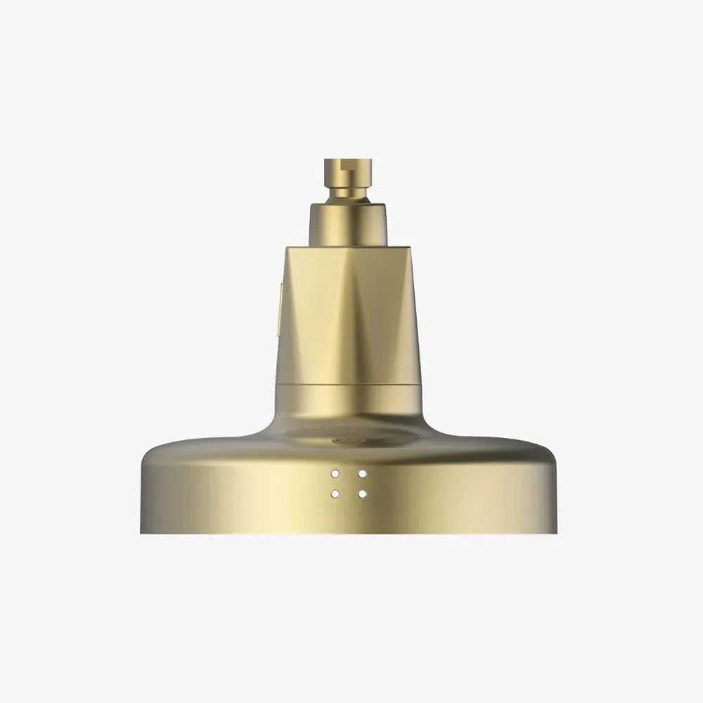 HigherDOSE Red Light Showerhead Filter, Matte Brass