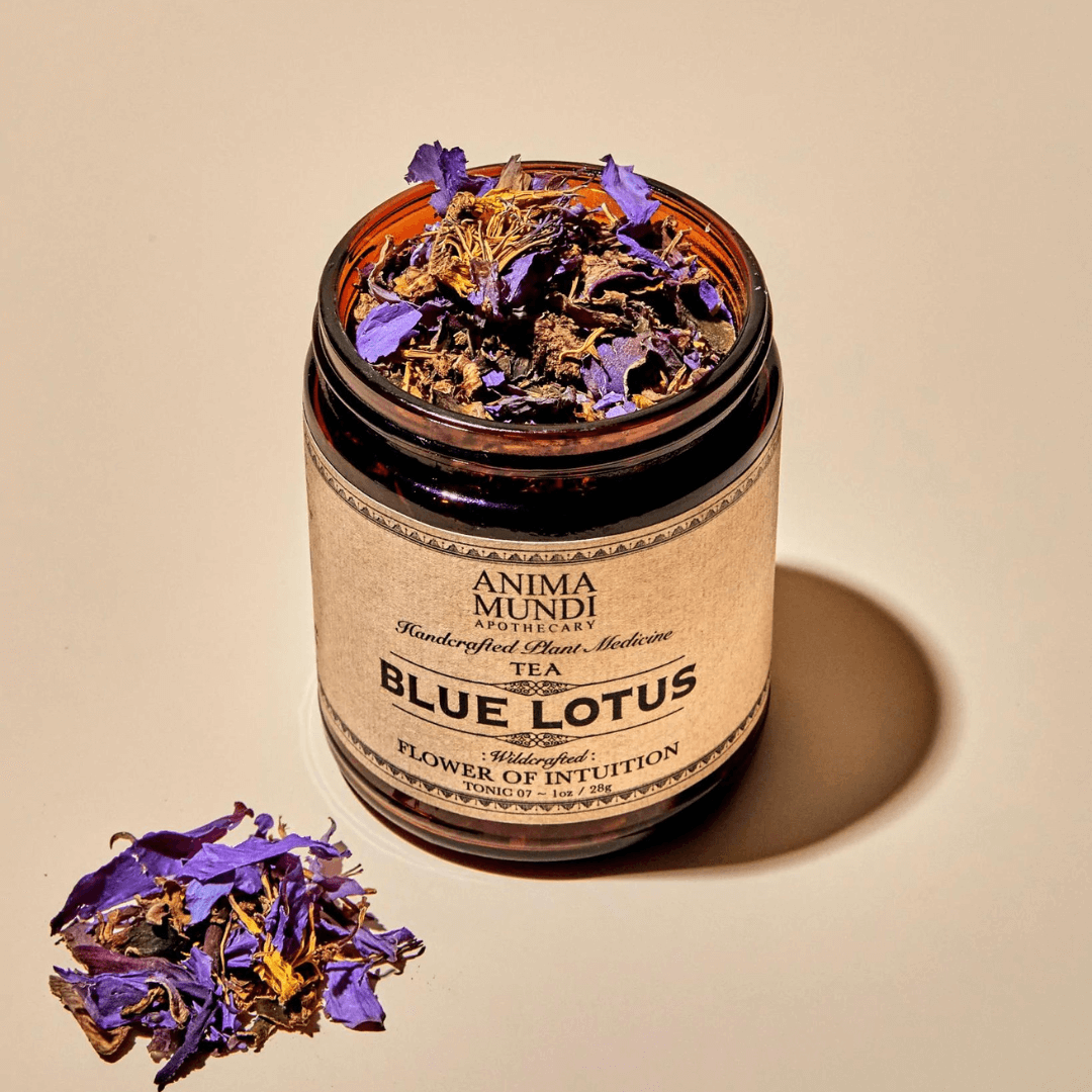 Anima Mundi Blue Lotus Tea, image 2